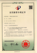 一种精确计量流量的石油泵